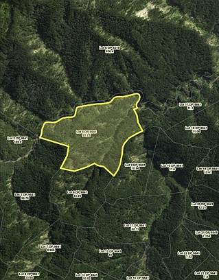 Lot 5 Shanks Road, Waingake