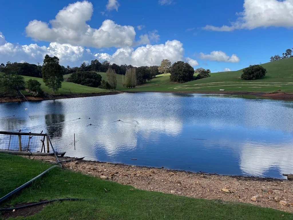 Queenwood  THIS IS A RARE GEM - 317 ACRES
