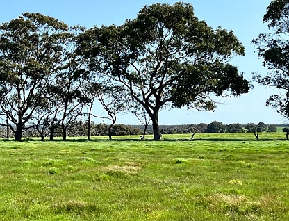 LOT 252 Albany Views Private Estate - Albany Views Private Estate, Drome, Wheat Belt, 0 habitaciones, 0 baños, Section