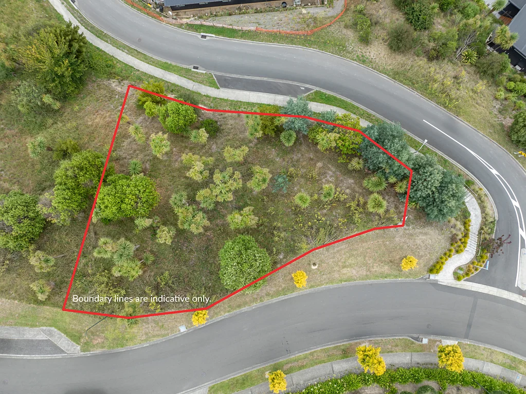 Havelock North The Choice is Yours