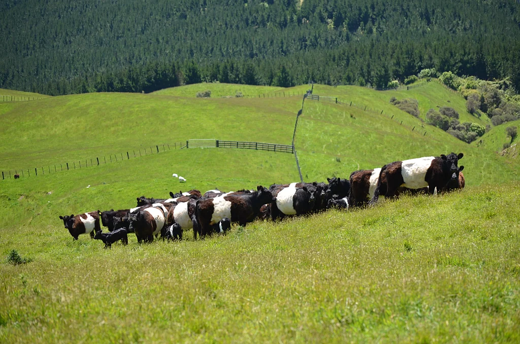 Moonshine Valley Moonshine Valley – 64ha farm