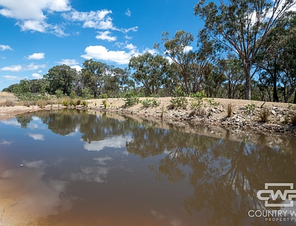 LOT 6/2202 Wellington Vale Road, Emmaville, Tamworth, 0 રૂમ, 0 બાથરૂમ, Lifestyle Property