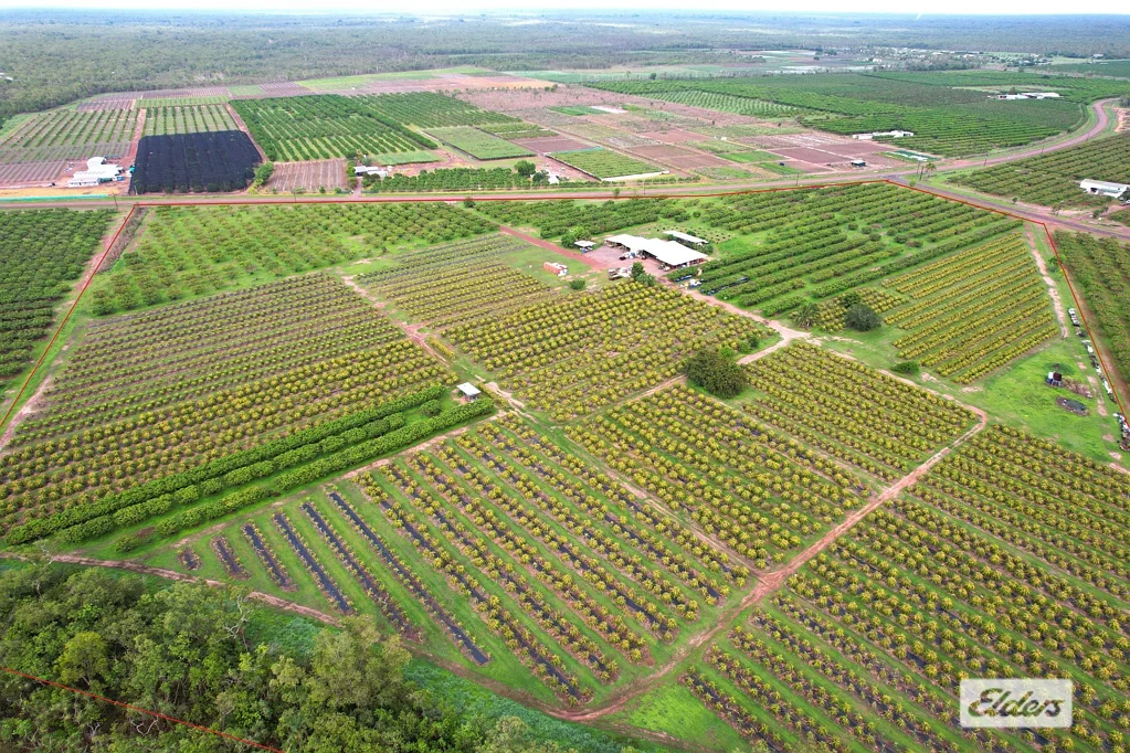 Lambells Lagoon  HARVESTHILL ORCHARD, Lambell's Lagoon NT - Year round horticultural production with water licence and award winning business.