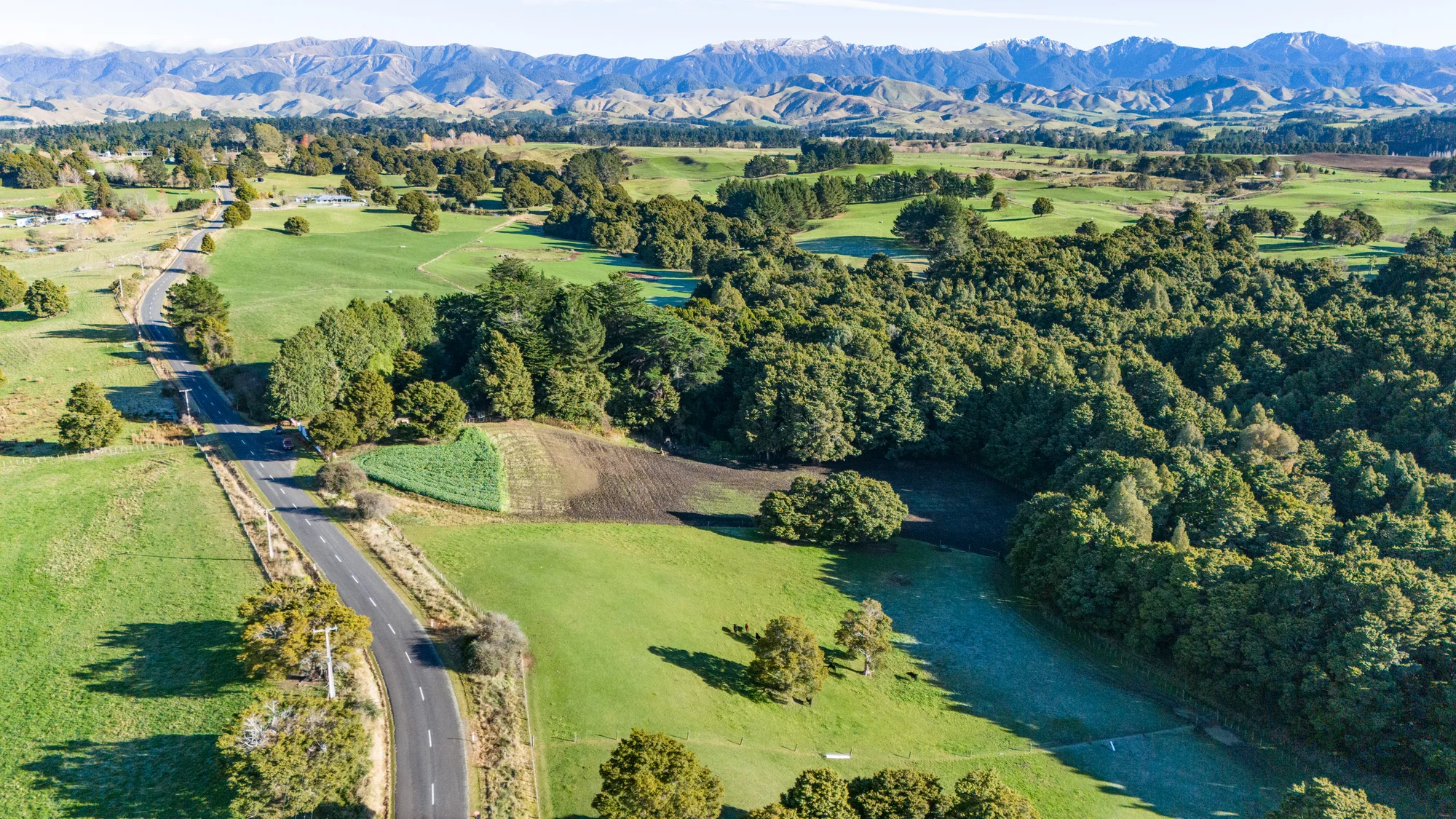 296 Mill Road, Ashley Clinton, Central Hawkes Bay, Hawkes Bay, 0 Bedrooms, 0 Bathrooms, Lifestyle Section