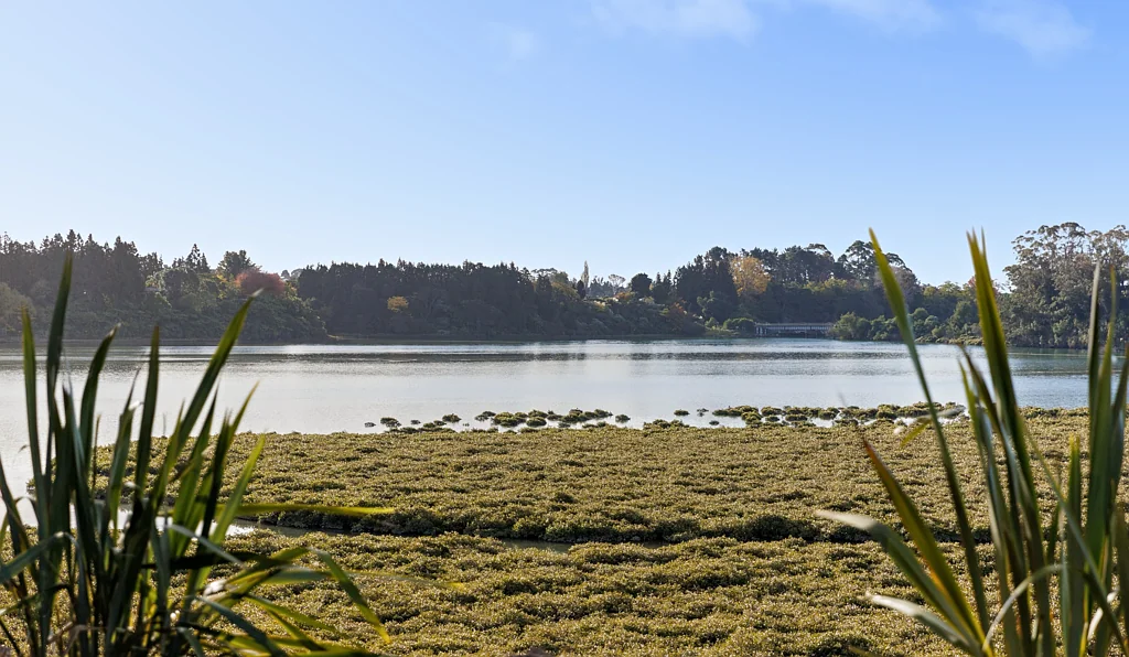 Te Puna A beautiful landscape for waterside life