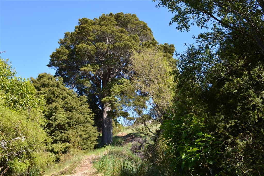 371 Le Bons Bay Road, Le Bons Bay, Christchurch, 0 chambres, 0 salles de bain