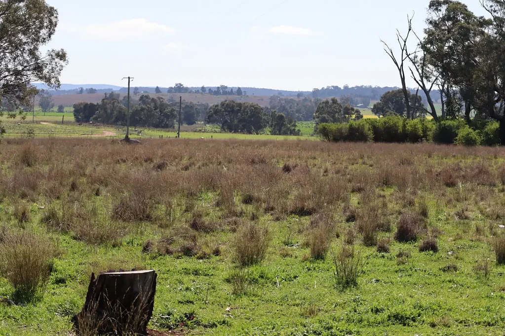 37 Birriwa Street, Dunedoo, NSW 2844