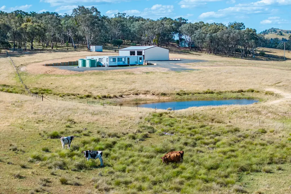 Hovells Creek  BRAND NEW HOME & HUGE SHEDS, POSITIONED ON 132 ACRES, JUST 15 MINS TO WYANGALA WATERS!