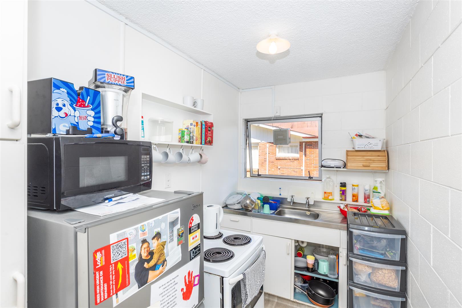 226 Old Farm Road, Hamilton East, Hamilton, 6 habitaciones, 0 baños, Unit