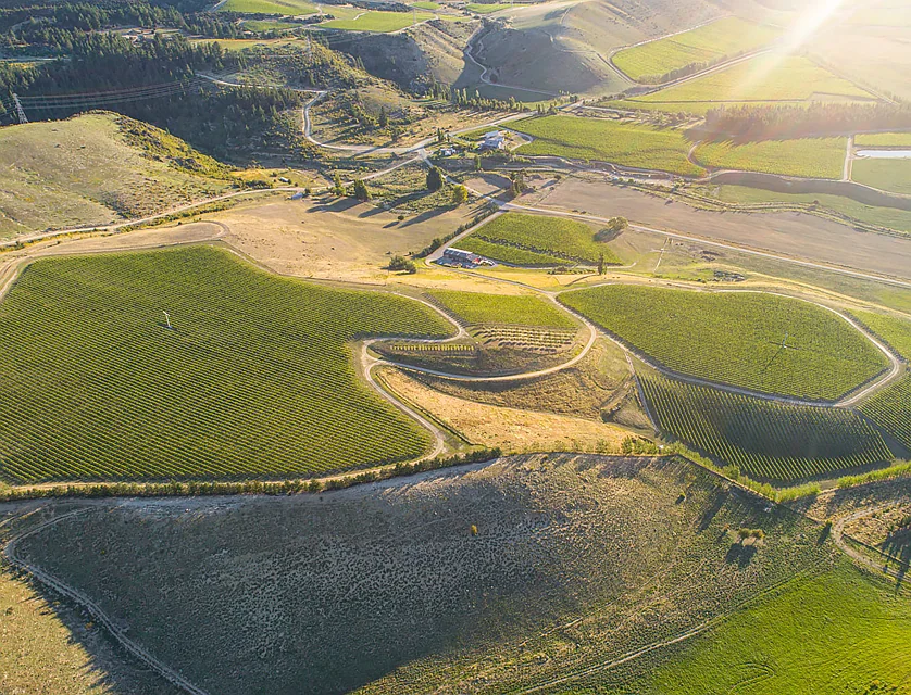 370 Bendigo Loop Road, Bendigo, Bendigo, 0 rūma, 0 rūma horoi, Viticulture
