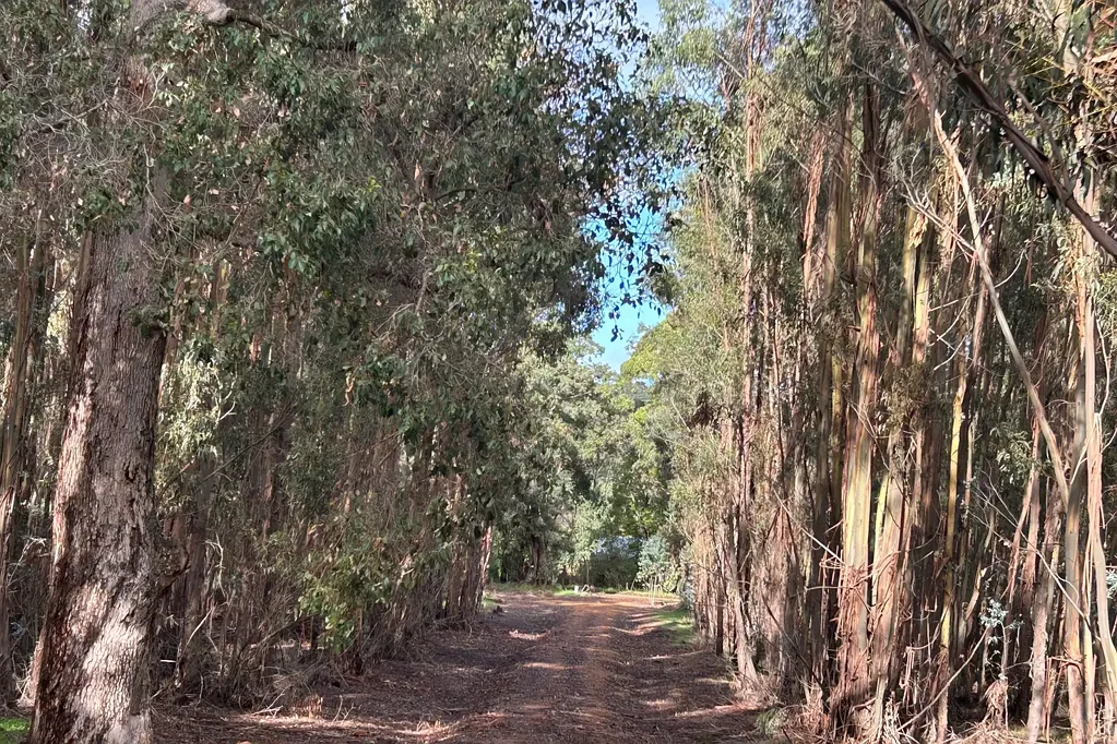 Osmington Tranquil Rural Escape in the Margaret River Region 49.80*Ha (approx. 123.05* Ac)