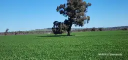 . Mattingly Road, Brookton