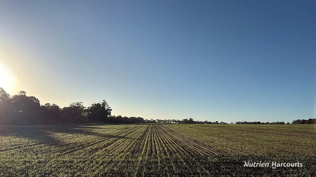 Boundain "Prime 196-Acre Cropping Property in the Reliable Narrogin Farming Region"