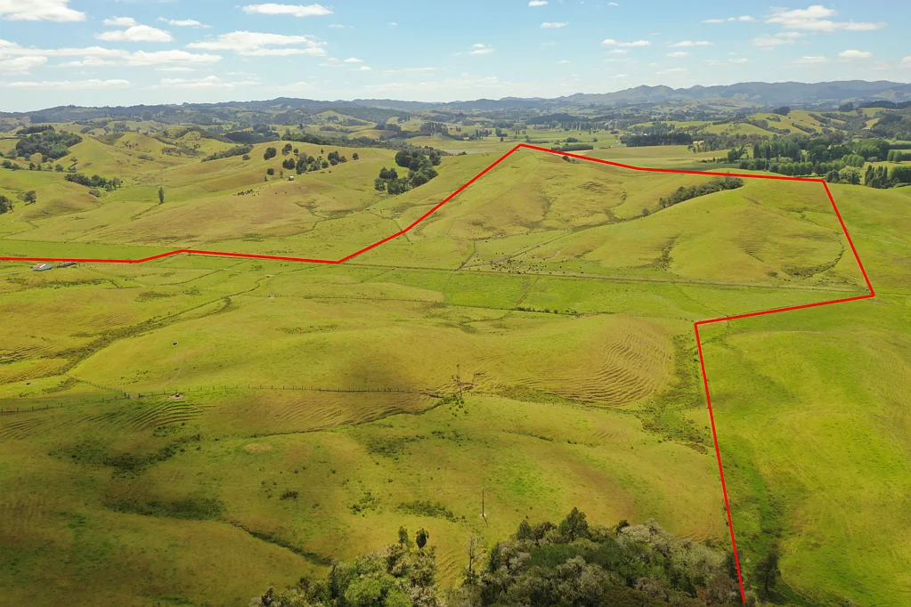 Kaitaia 104 ACRES LIFESTYLE BLOCK CLOSE TO TOWN