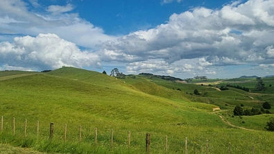 Okokako Road, Waimate North, Far North District, 0房, 0浴, Lifestyle Section