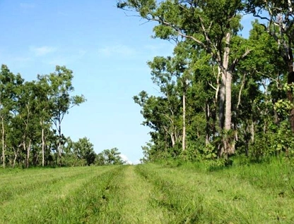 Lot 1268 Coach Road, Batchelor, Daly - Tiwi - West Arnhem, 0 Bedrooms, 0 Bathrooms, Lifestyle Property