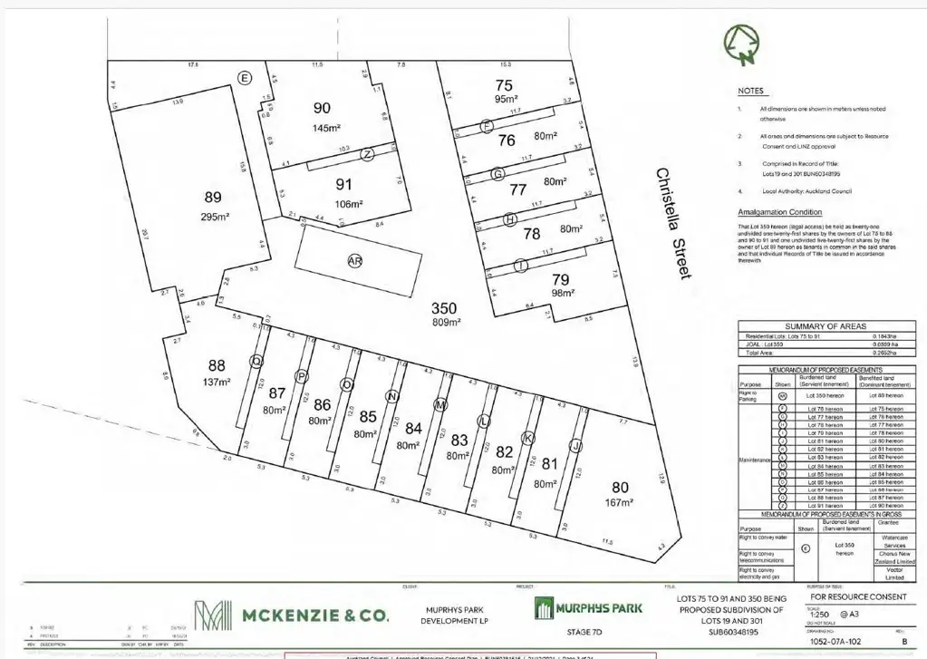 Flat Bush Prime Development Potential: Lot 301