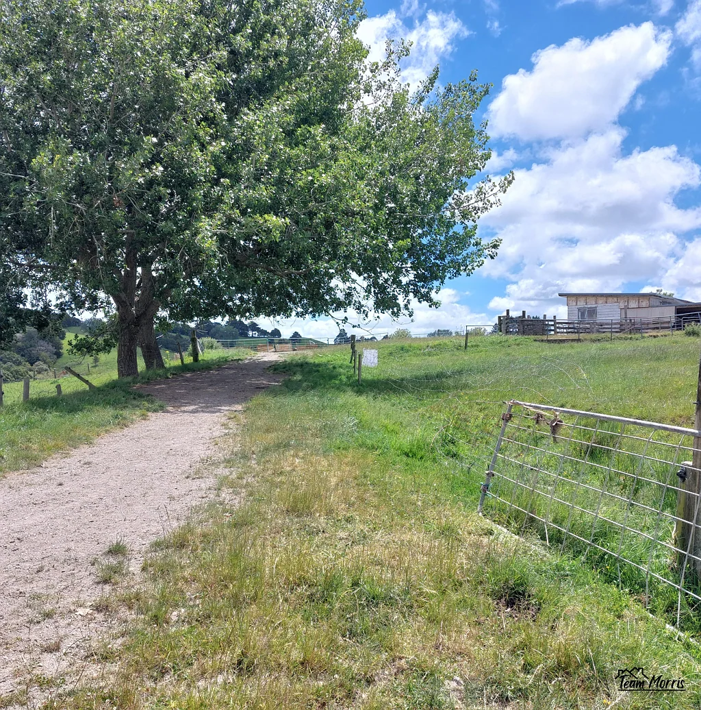 Lot/7 Franklin Road, Paparoa, Kaipara, Northland