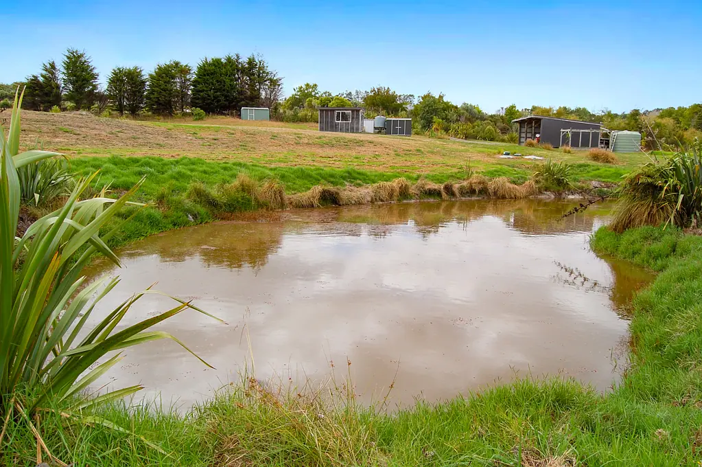 Kaiwaka 2.74Ha Lifestyle - Build - Grow - Thrive