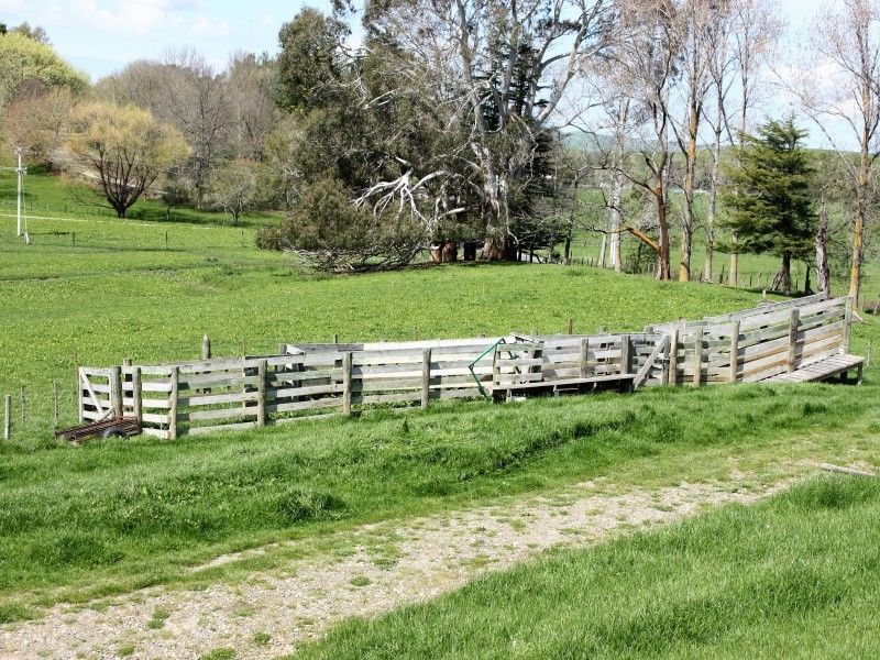 35 Pourerere Road, Waipawa, Hawkes Bay, 0 rūma, 0 rūma horoi