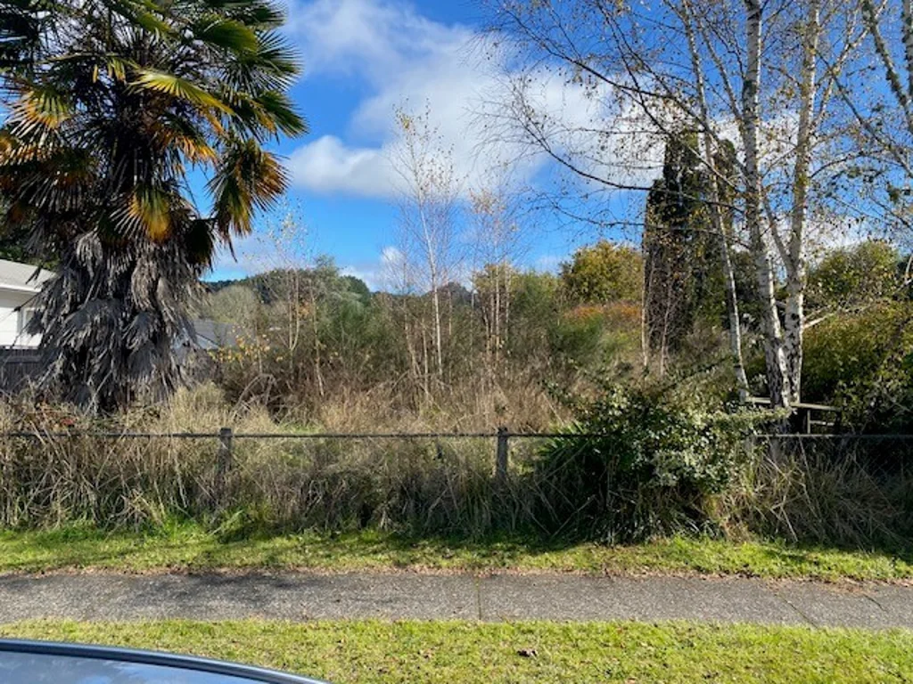 Taumarunui  Sale by court order