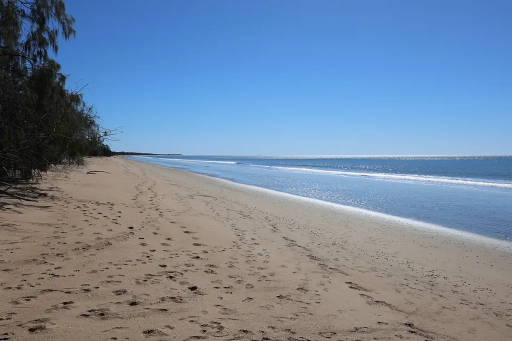 Moore Park Beach 4房  Beachside Living on a BIG, Fully Fenced Block only minutes walk to the beach
