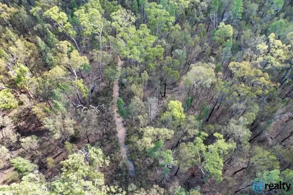 Condamine Farms First time on the market in over 30 years!! 251 acres,  off-grid, seasonal creek, untouched beauty!