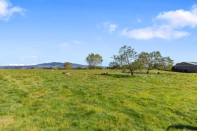 95D Pearson Road, Putaruru, South Waikato, Waikato, 0 침실, 0 욕실, Lifestyle Section