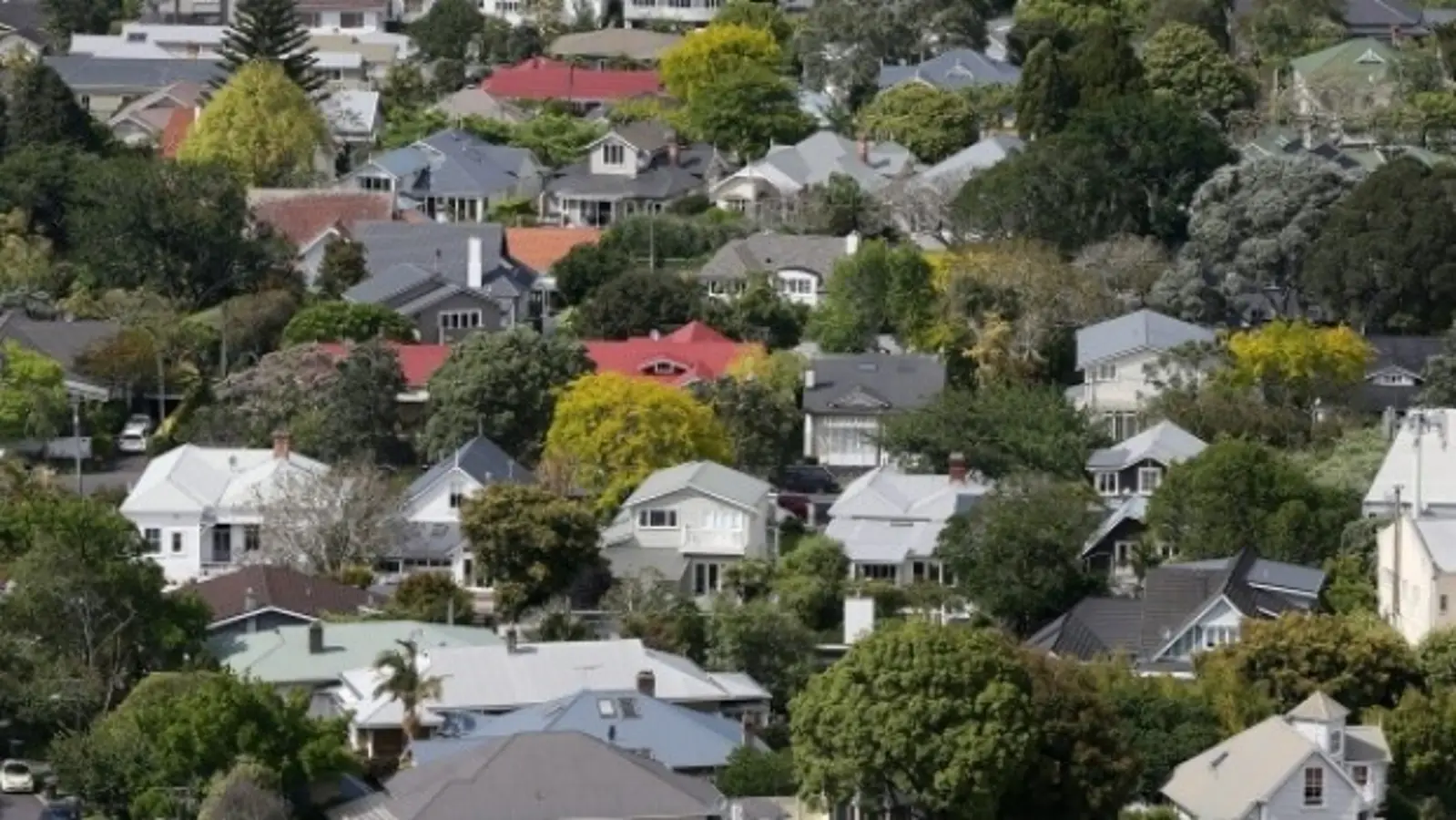 如何解决住房危机？让租客可以享有更多的权利！