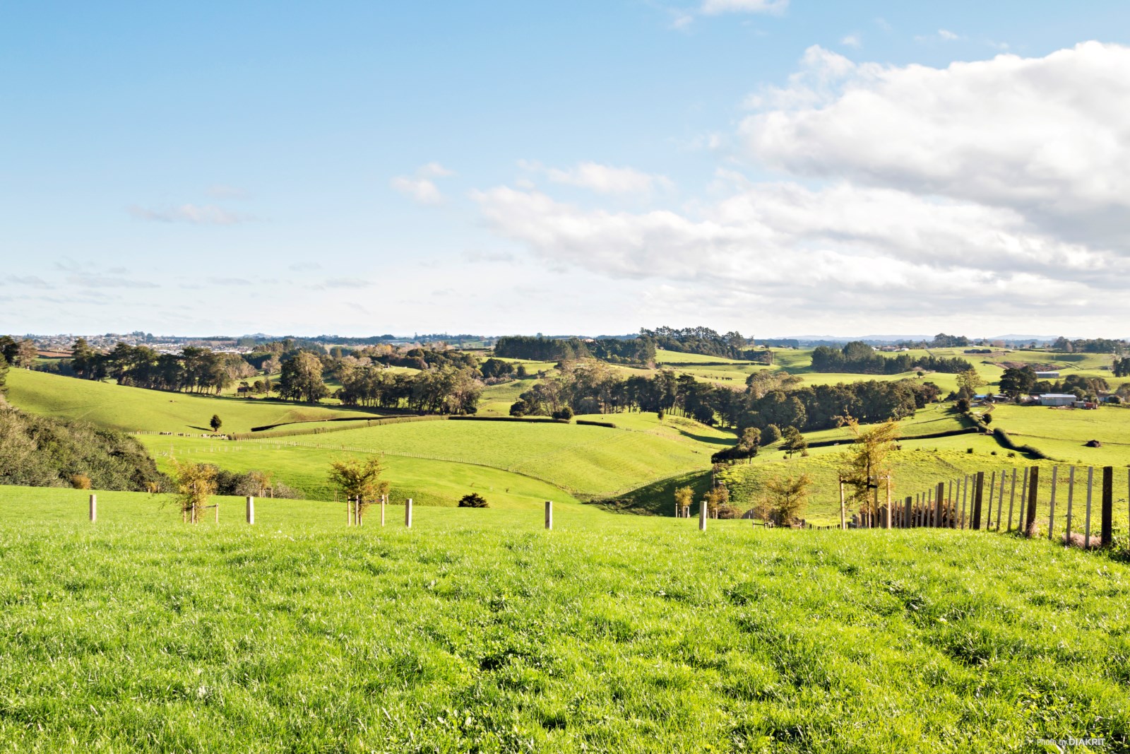 2 Donald Gavin Way, Paerata, Auckland - Franklin, 4 રૂમ, 0 બાથરૂમ