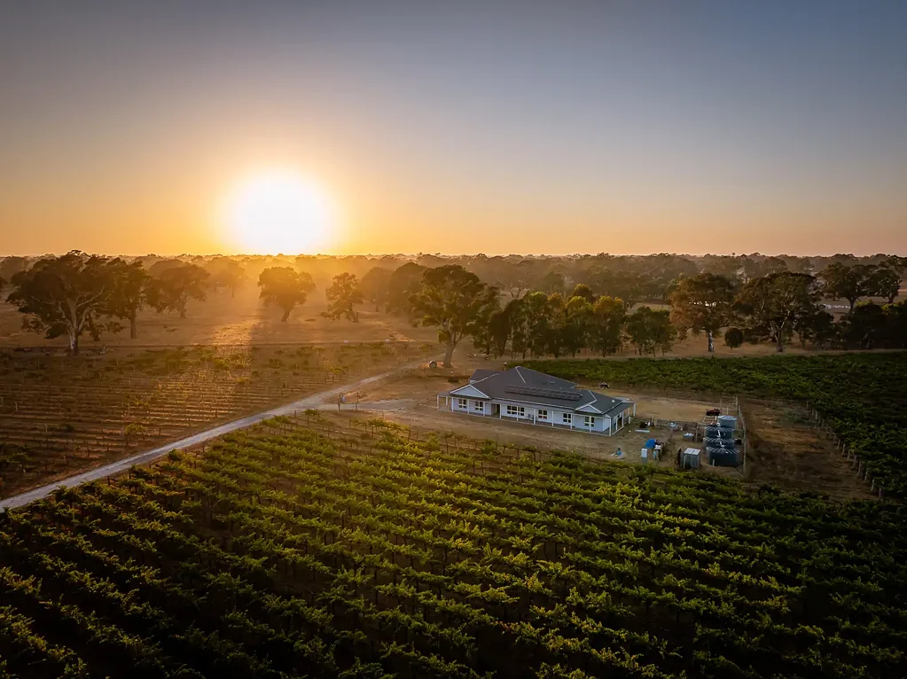 Penola Spectacular Family Living Surrounded by Gums and Vines