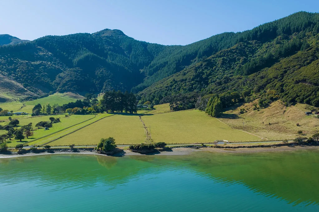 Marlborough Sounds Leave the Rush Behind