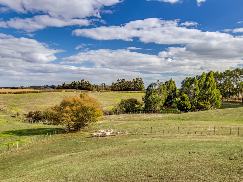 945 Linwood Road, Kingseat, Auckland - Franklin, 3 habitaciones, 0 baños