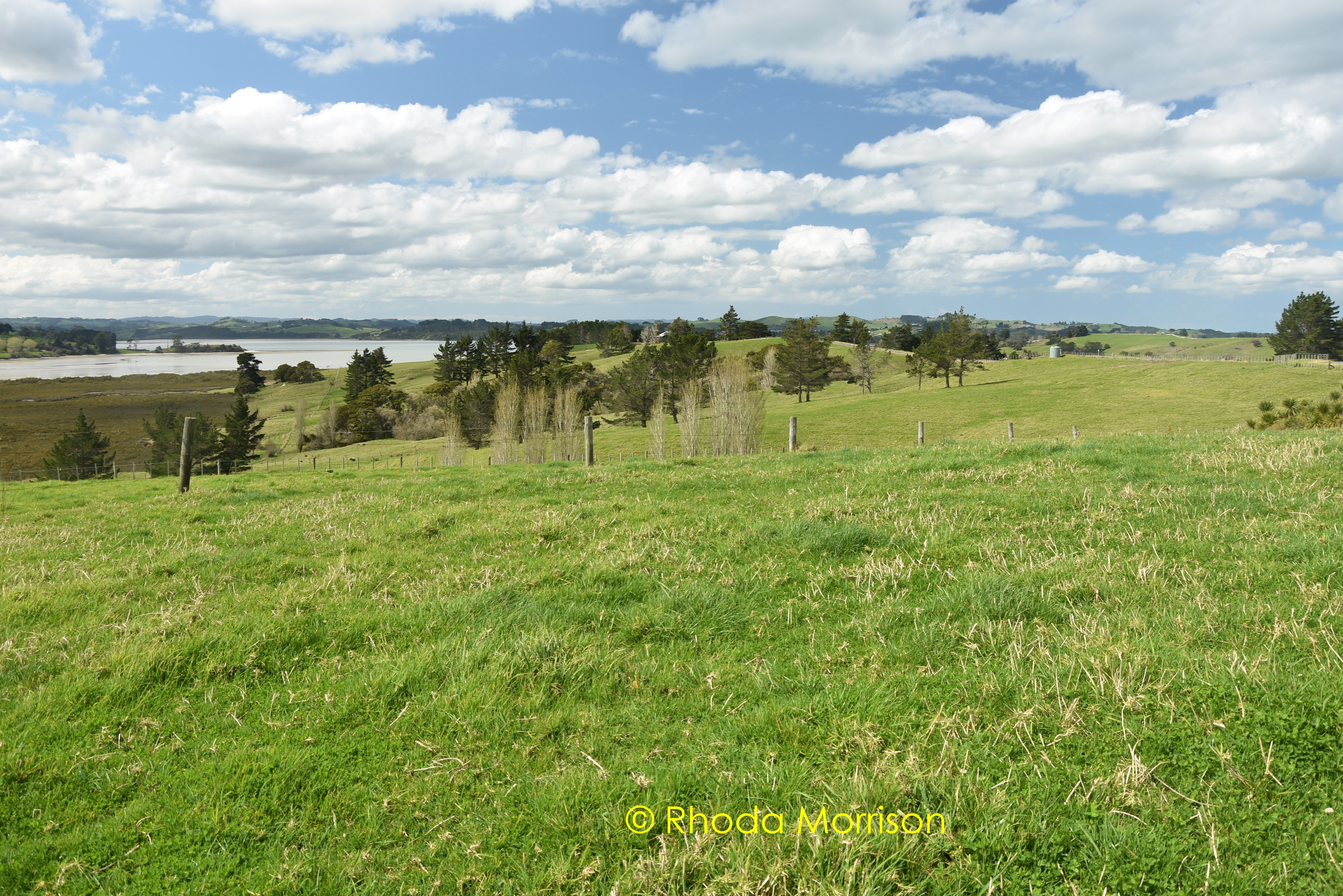 41 Manurere Rise, Tinopai, Kaipara, 0 ਕਮਰੇ, 0 ਬਾਥਰੂਮ