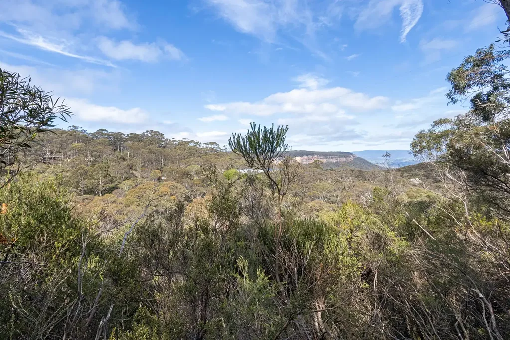 Blackheath PRESTIGIOUS LAND PARCEL WITH UNINTERRUPTED ESCARPMENT VIEWS