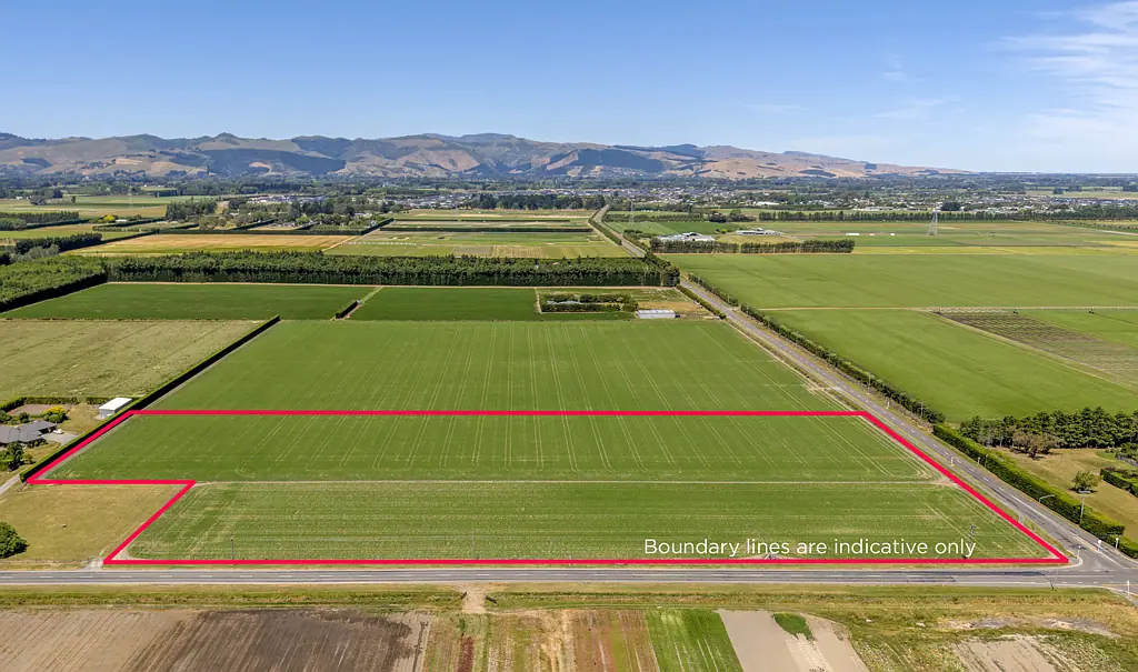 Lincoln  Prime location, plenty of options