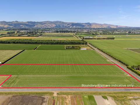 Lincoln Prime location, plenty of options
