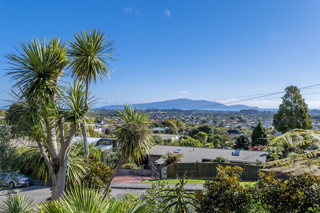 41a Kotare Street, Waikanae, Kapiti Coast, 3 રૂમ, 0 બાથરૂમ