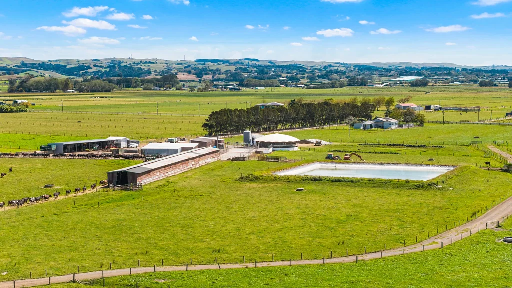 Waiuku Proven 100ha dairy farm in Otaua