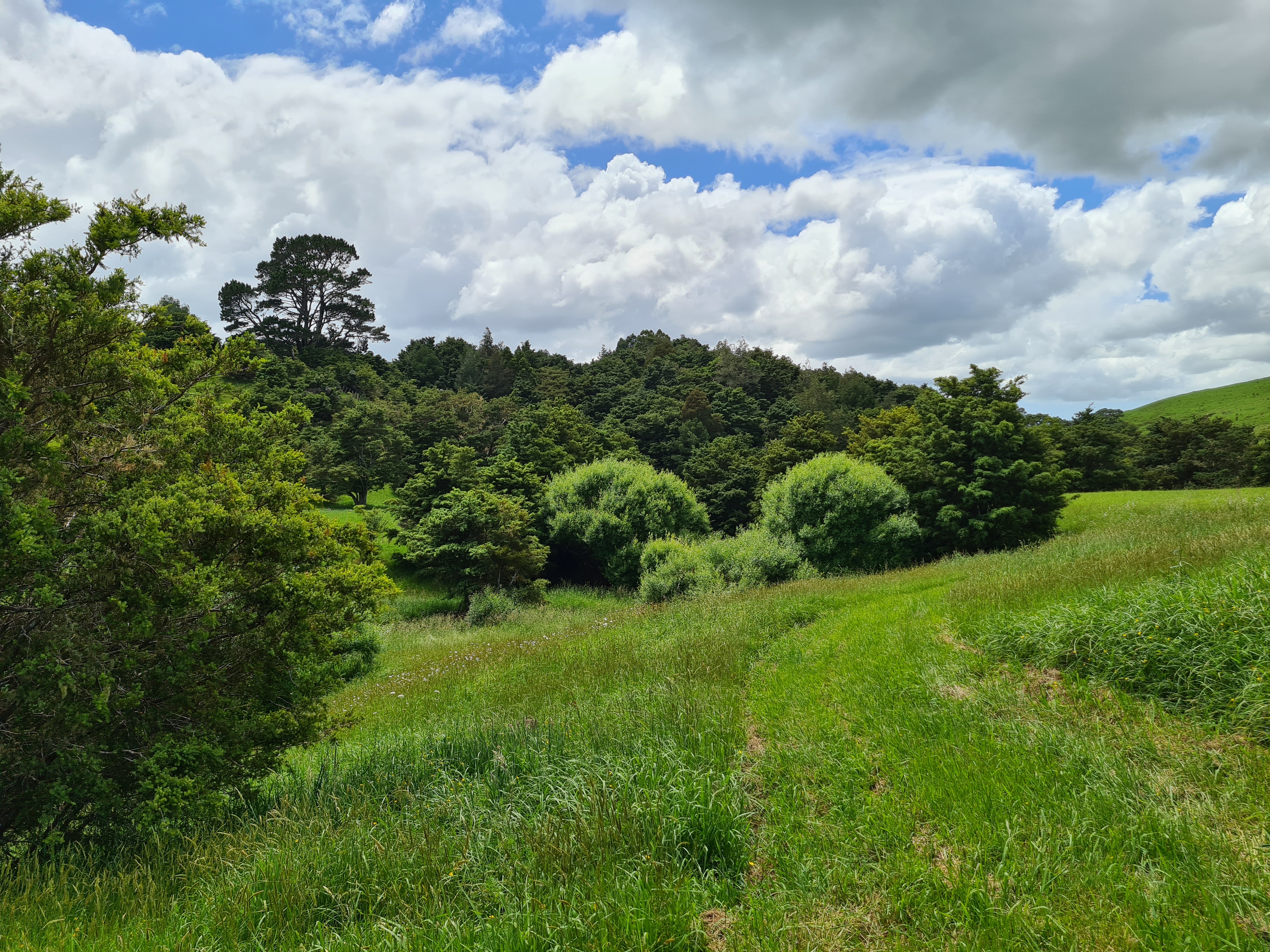 83 Payne Road, Topuni, Kaipara, 0 Bedrooms, 0 Bathrooms