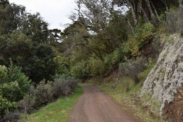 Rocky Hill Road, Te Wharau, Carterton, 0 habitaciones, 1 baños