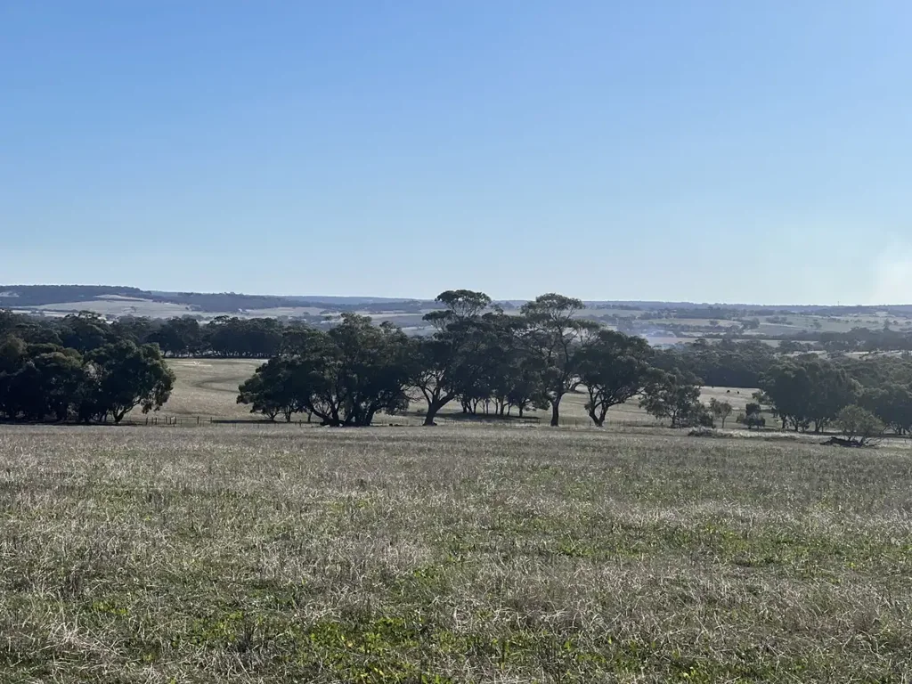 Toodyay  Where Opportunity Meets Lifestyle ~ Homestead Potential on 88 Tranquil Acres near Toodyay