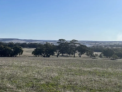 Toodyay Where Opportunity Meets Lifestyle ~ Homestead Potential on 88 Tranquil Acres near Toodyay