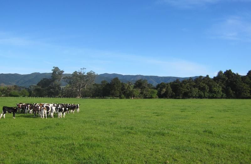 174 Murphys Line, Featherston, South Wairarapa, 0 phòng ngủ, 0 phòng tắm