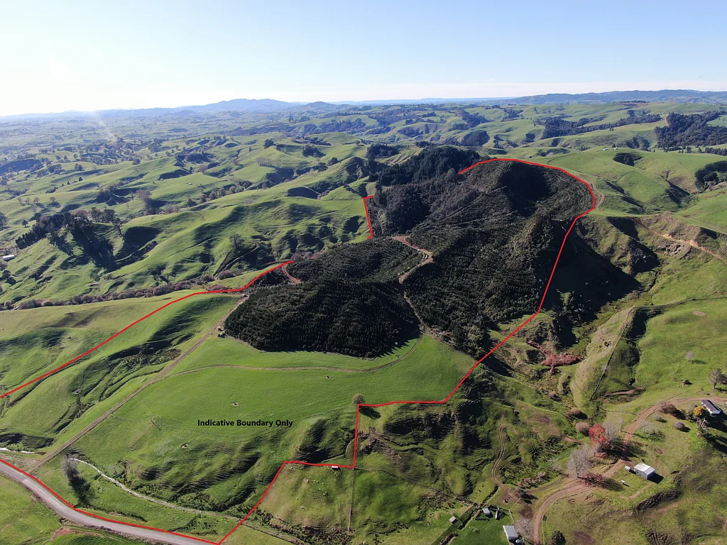 Otorohanga  Adventure - Lifestyle - Investment