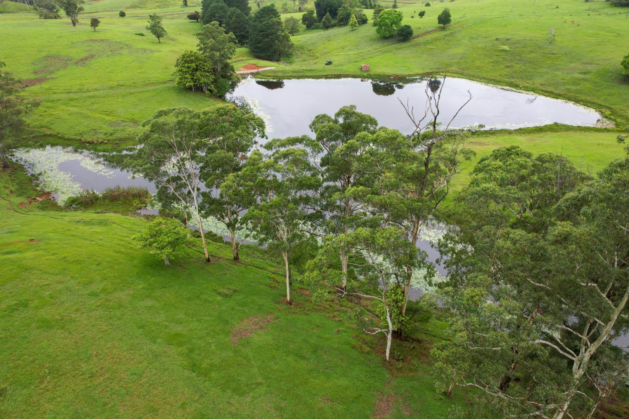 UNIT 12 400 BELLTHORPE WEST RD, BELLTHORPE QLD 4514, 0 غرف, 0 حمامات, Lifestyle Property