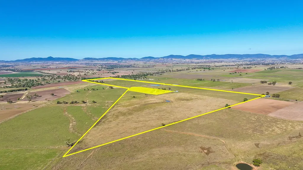 Tamworth For Lease - Oats Planted Ready to Graze - Price Reduction!