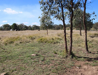 16 Robinsons Lane, Tenterfield, Tamworth, 0 침실, 0 욕실, Section