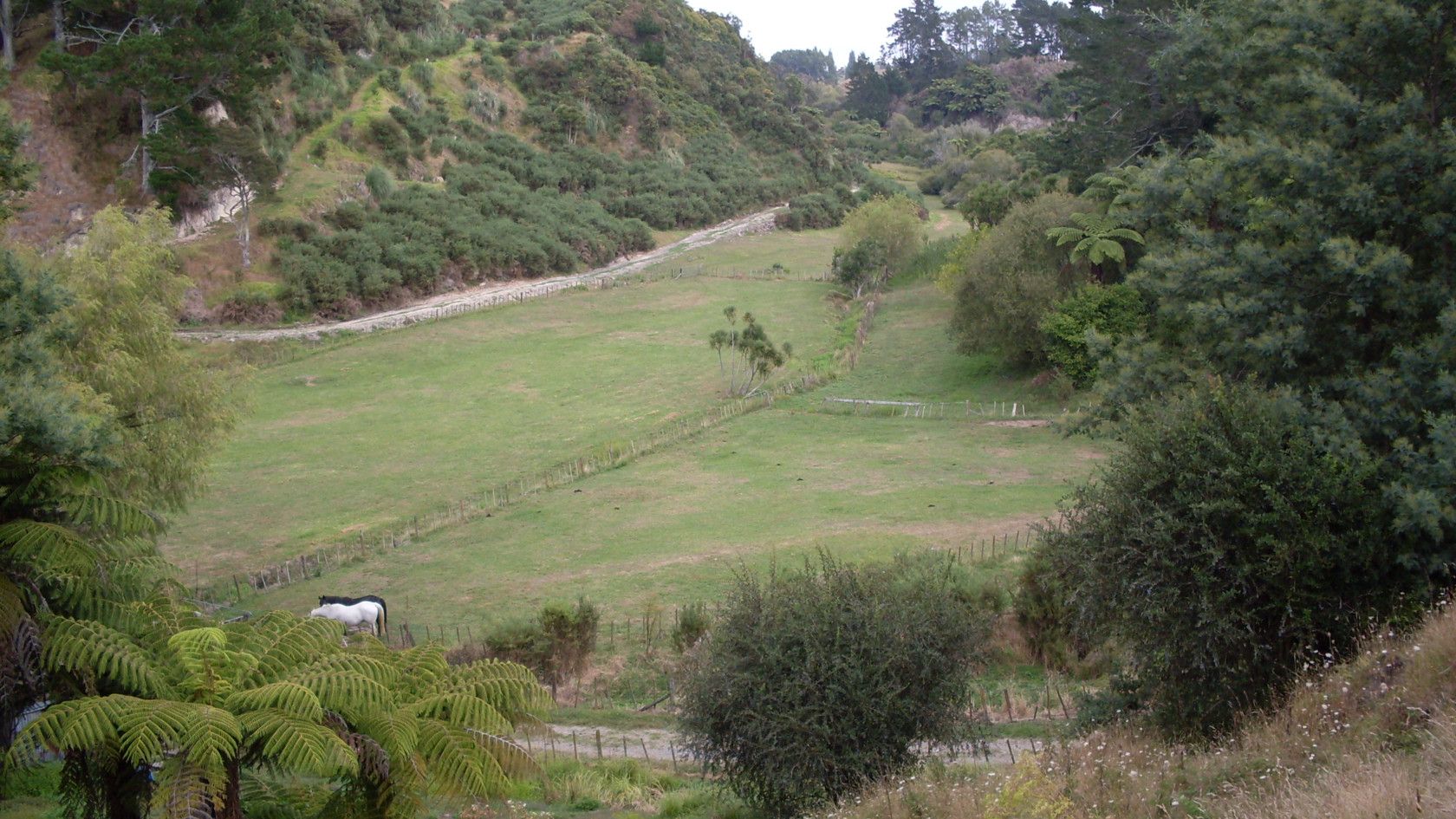 137 Maungarangi Road, Paengaroa, Bay Of Plenty, 4 ห้องนอน, 1 ห้องน้ำ, Horticulture