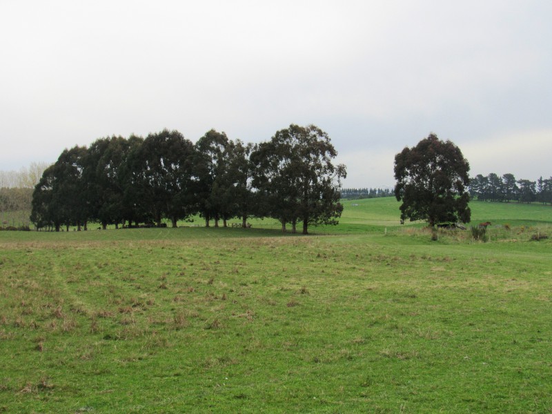 Rosewill Valley Road, Rosewill, Timaru, 0 rūma, 1 rūma horoi